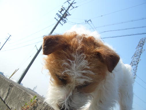 a0051402_18534850.jpg