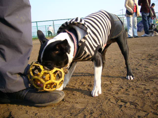 d0070702_14445796.jpg