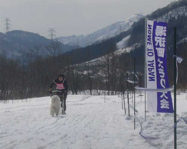 e0018604_2122452.jpg