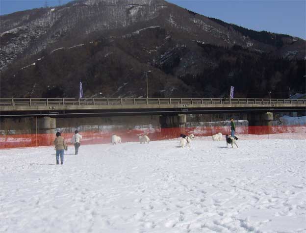 e0018604_2159214.jpg
