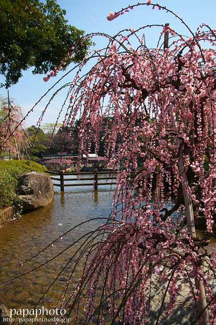 f0041908_22564297.jpg