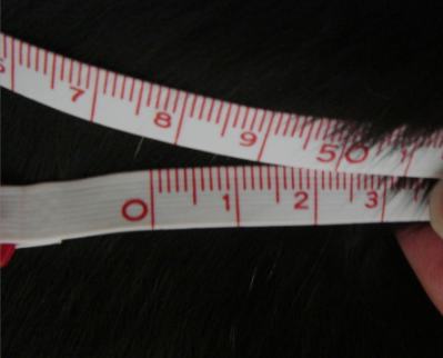 c0027311_1837996.jpg