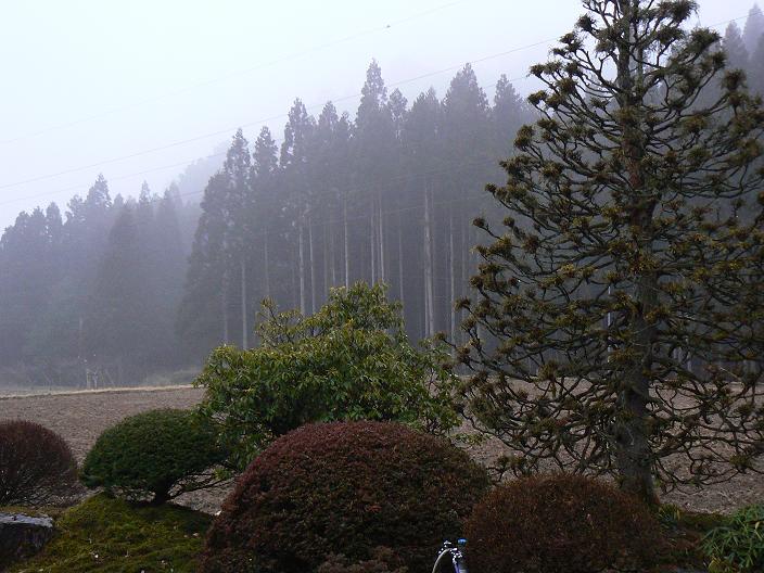 c0086014_21172393.jpg
