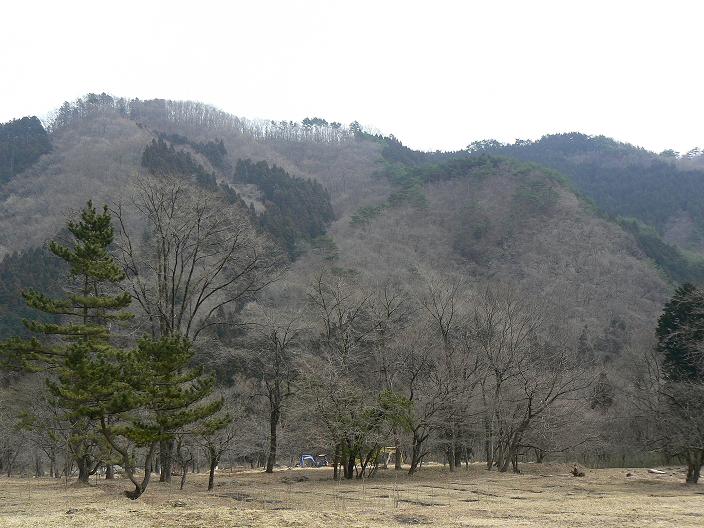 c0086014_2191336.jpg