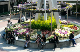 e0083517_2301057.jpg