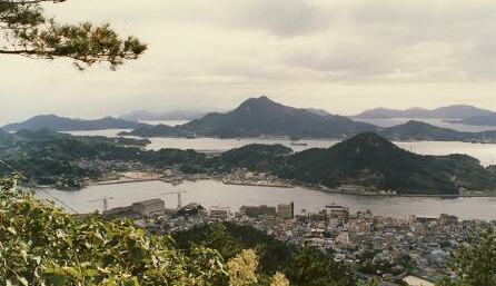 f0000521_9112142.jpg