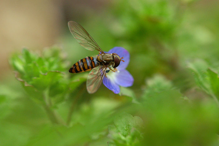 d0089024_21571443.jpg