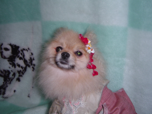f0012924_11553440.jpg