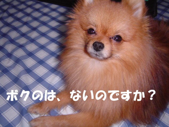 f0012924_1202281.jpg