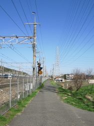 f0028125_1115922.jpg