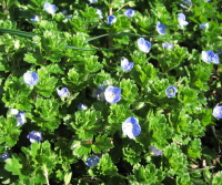 f0028125_1133877.jpg