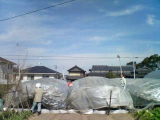 d0014229_21212540.jpg