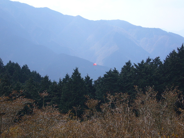 d0075131_23325594.jpg