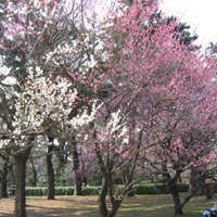 d0033734_10533295.jpg