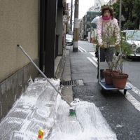d0033734_1118155.jpg