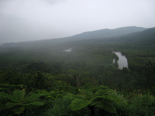 c0014035_1223596.jpg