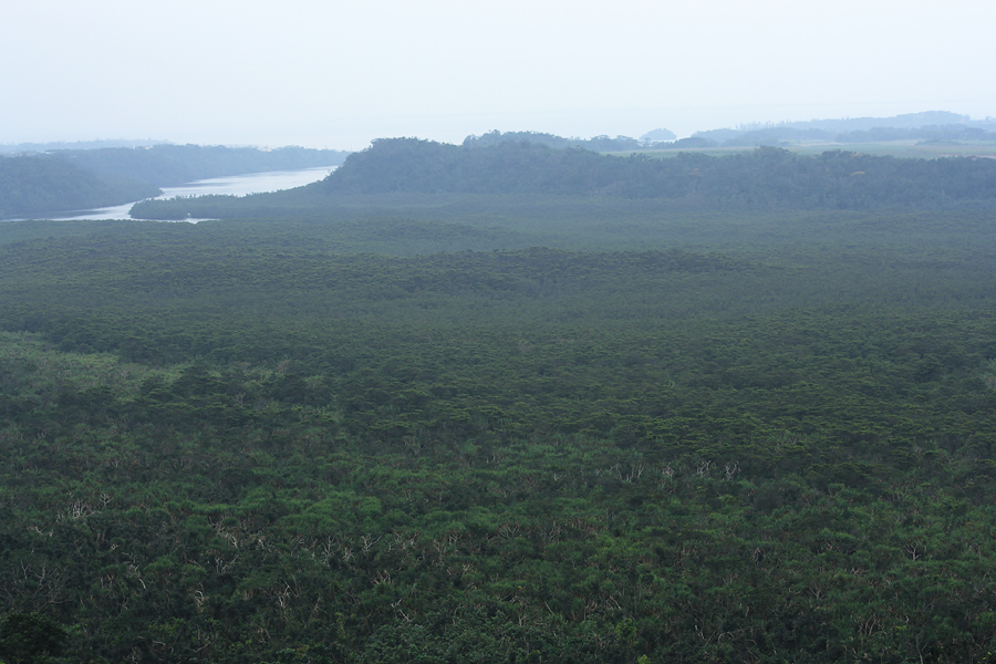 c0014035_12343669.jpg