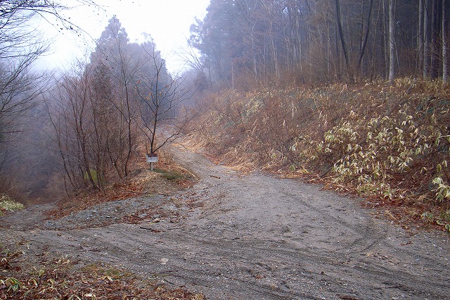 b0097836_22541377.jpg