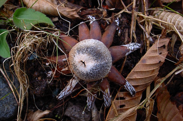 b0097836_232476.jpg