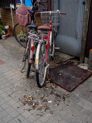 c0032138_9472560.jpg