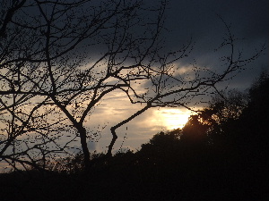 a0054240_15491691.jpg