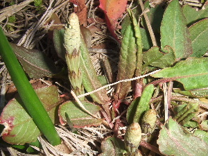 a0054240_15532921.jpg