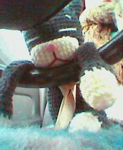 e0006242_17194898.jpg