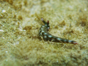 d0065247_16283955.jpg