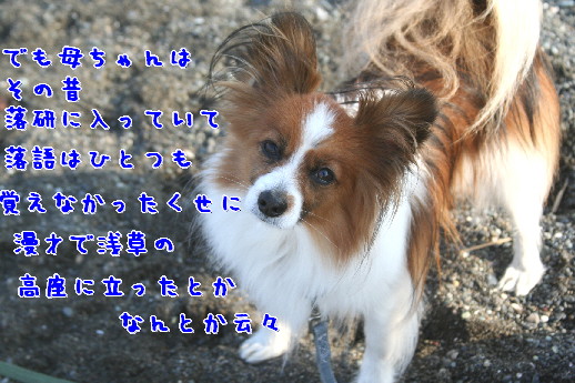 d0013149_23573030.jpg