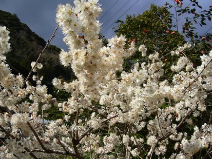 f0067354_19554930.jpg