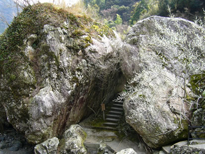 f0067354_1956197.jpg