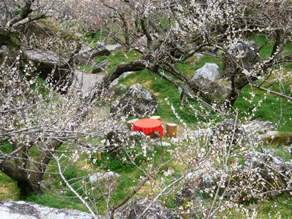 f0067354_20512936.jpg