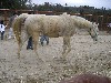 f0104057_09274.jpg