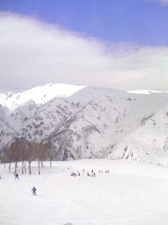 d0111767_22302221.jpg