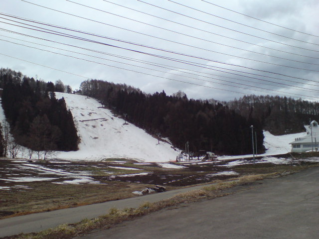 b0085469_2195592.jpg