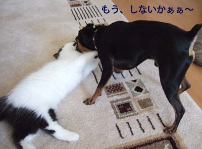 c0012571_17121042.jpg