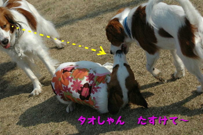 c0075585_1181827.jpg