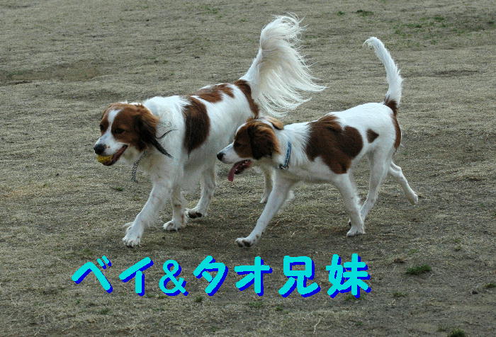 c0075585_144121.jpg