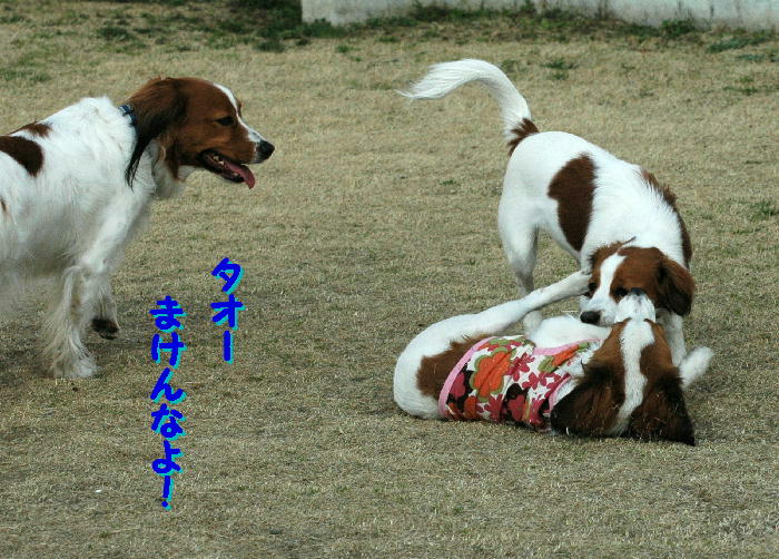 c0075585_1445019.jpg