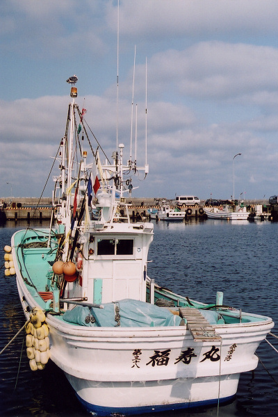 e0051186_2040313.jpg