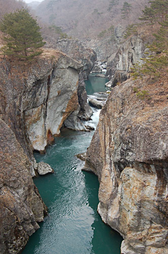 b0045387_2353341.jpg