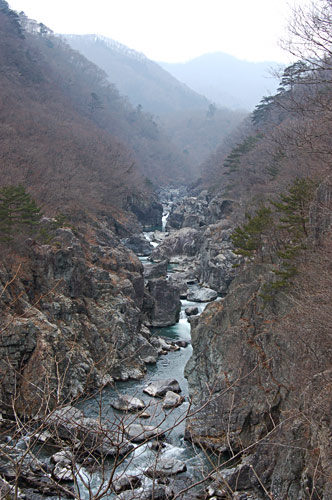 b0045387_23562177.jpg