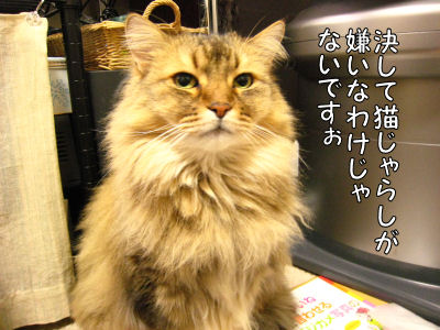 a0045990_1475986.jpg