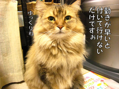 a0045990_152125.jpg
