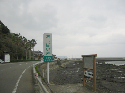 a0050192_2132940.jpg