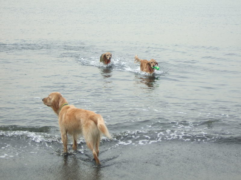 c0104492_15551437.jpg