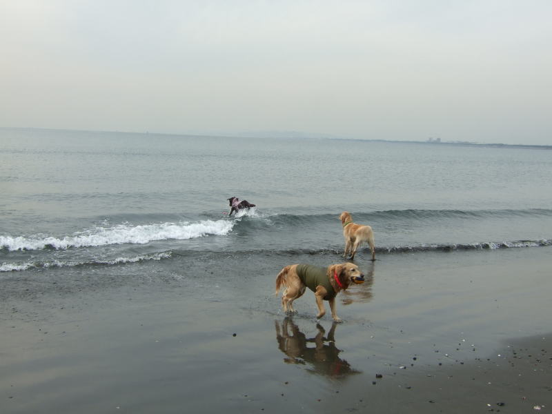 c0104492_15563470.jpg