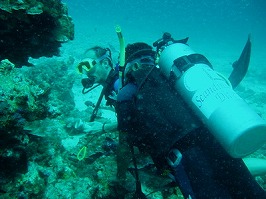 d0098397_1914223.jpg