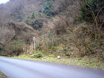 e0083097_22171184.jpg