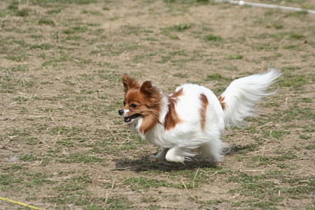 c0044199_17593945.jpg